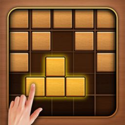 Puzzle Wood Block
